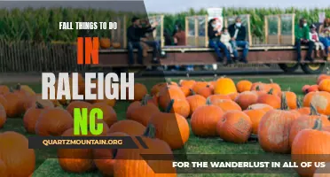13 Fun-Filled Activities for the Fall Season in Raleigh, NC