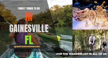 10 Fun Family Activities to Experience in Gainesville, FL