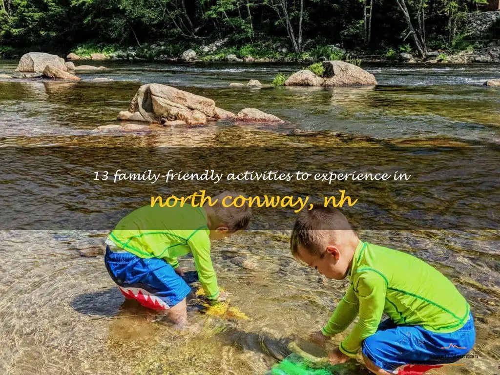 family things to do in north conway nh