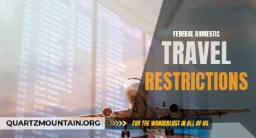 The Implications and Impacts of Federal Domestic Travel Restrictions
