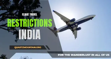 Understanding the Current Flight Travel Restrictions in India
