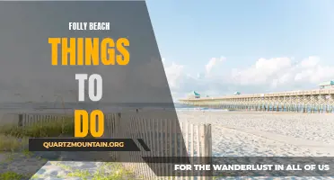 14 Amazing Things to Do in Folly Beach