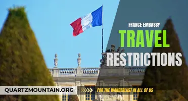 France Embassies Implementing Travel Restrictions Amidst Pandemic