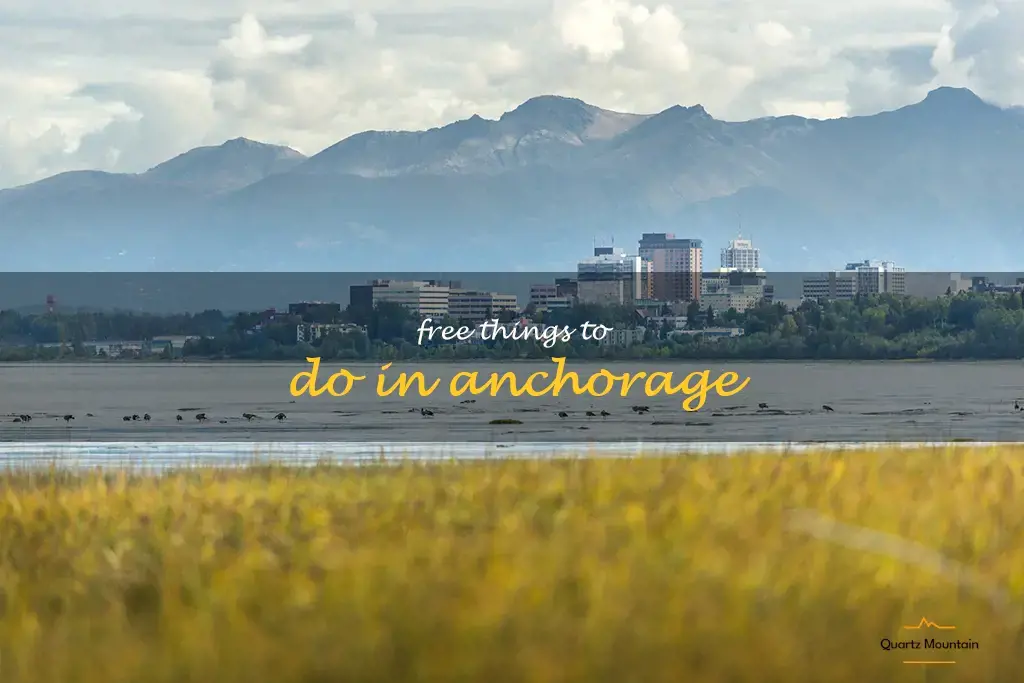 free things to do in anchorage