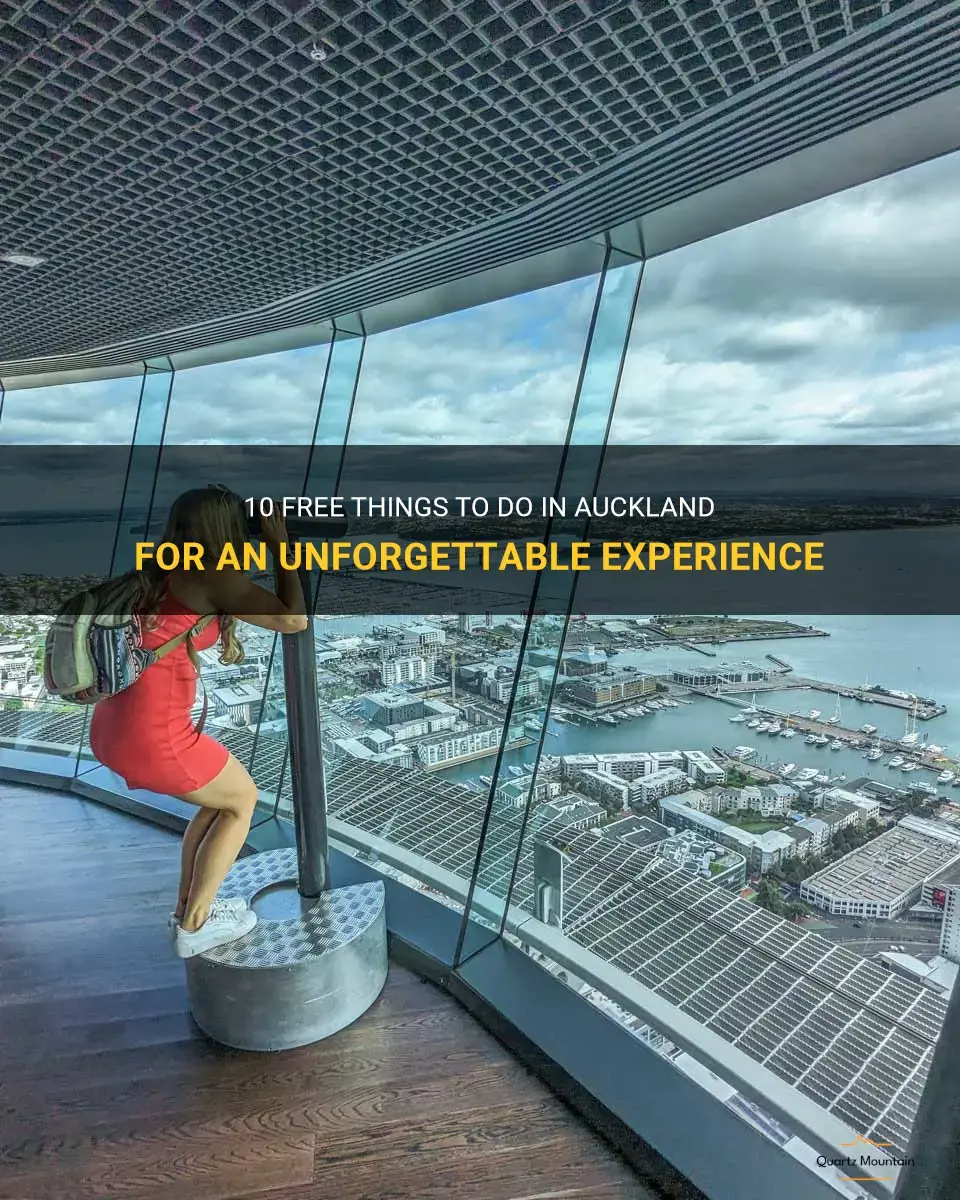 free things to do in auckland