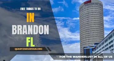 Exploring the Free Attractions of Brandon, FL: Discover Fun on a Budget!