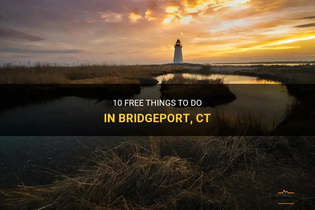 free things to do in bridgeport ct