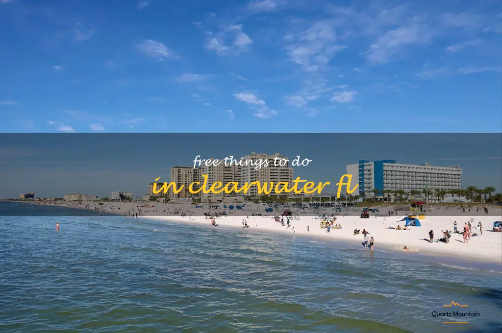 free things to do in clearwater fl