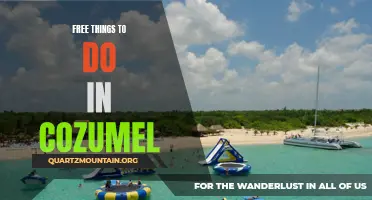 Discovering the Delights of Cozumel for Free
