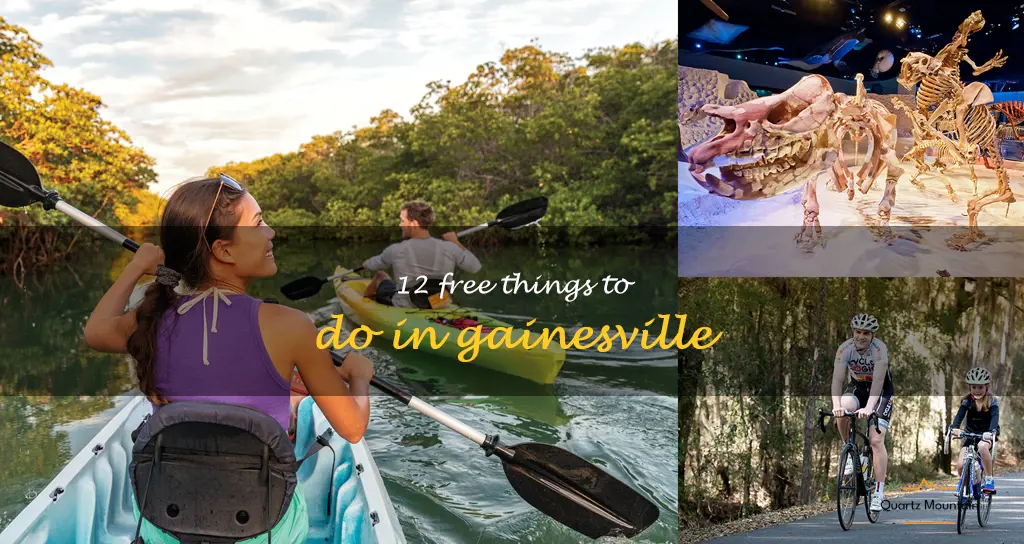 free things to do in gainesville