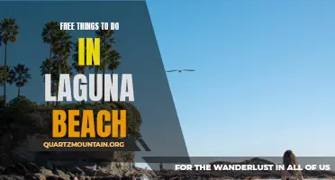 Discover the Best Free Activities in Laguna Beach Today!