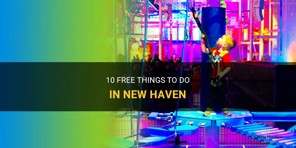 free things to do in new haven