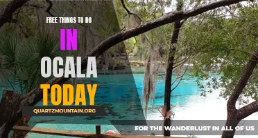 12 Free Activities to Enjoy in Ocala Today