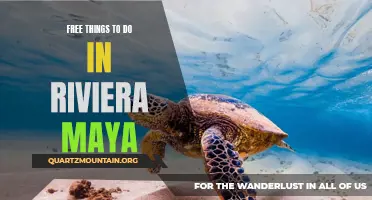 7 Free and Fun Activities to do in Riviera Maya