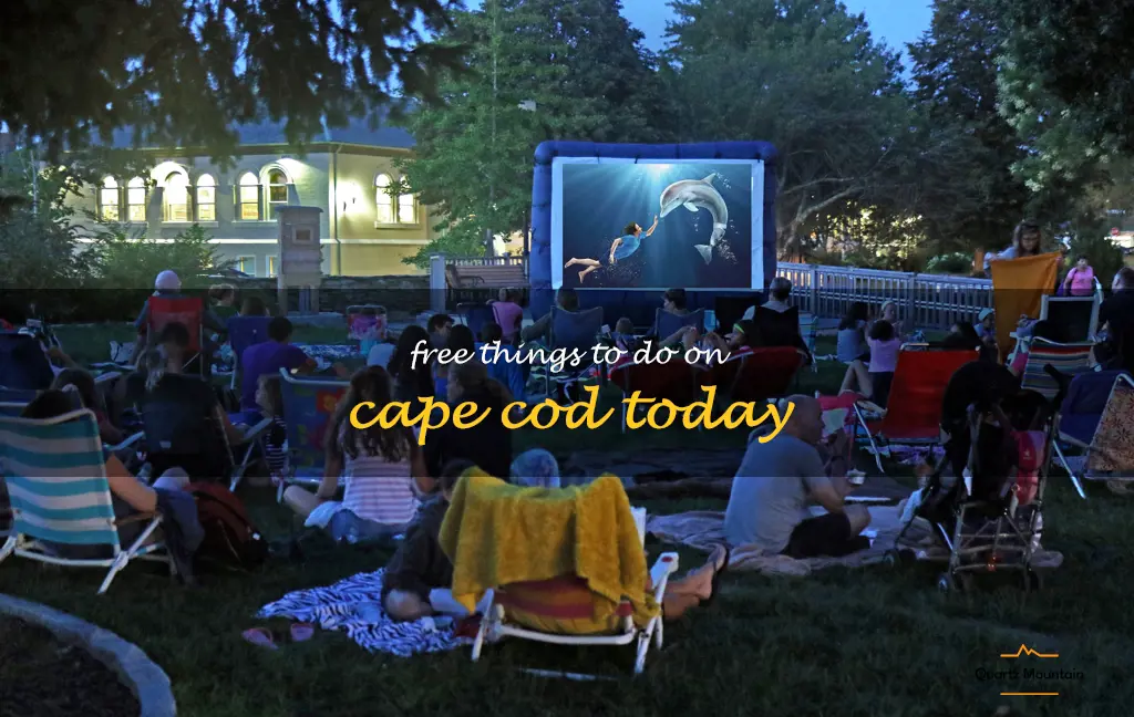 free things to do on cape cod today