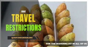 Navigating the World of Fruit Travel Restrictions: What You Need to Know