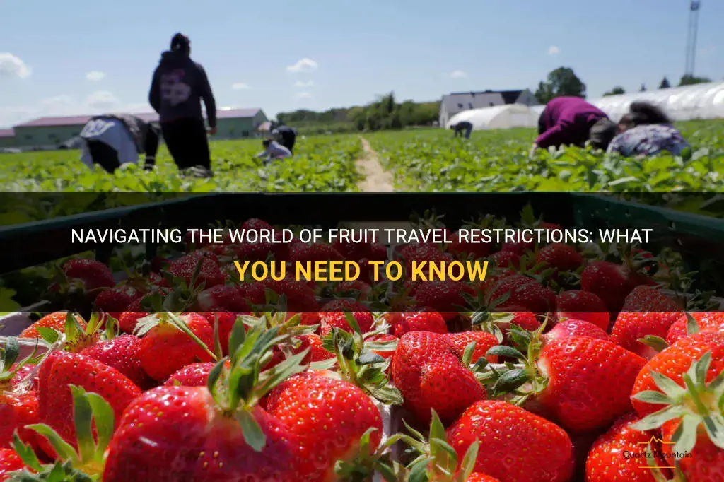 fruit travel restrictions
