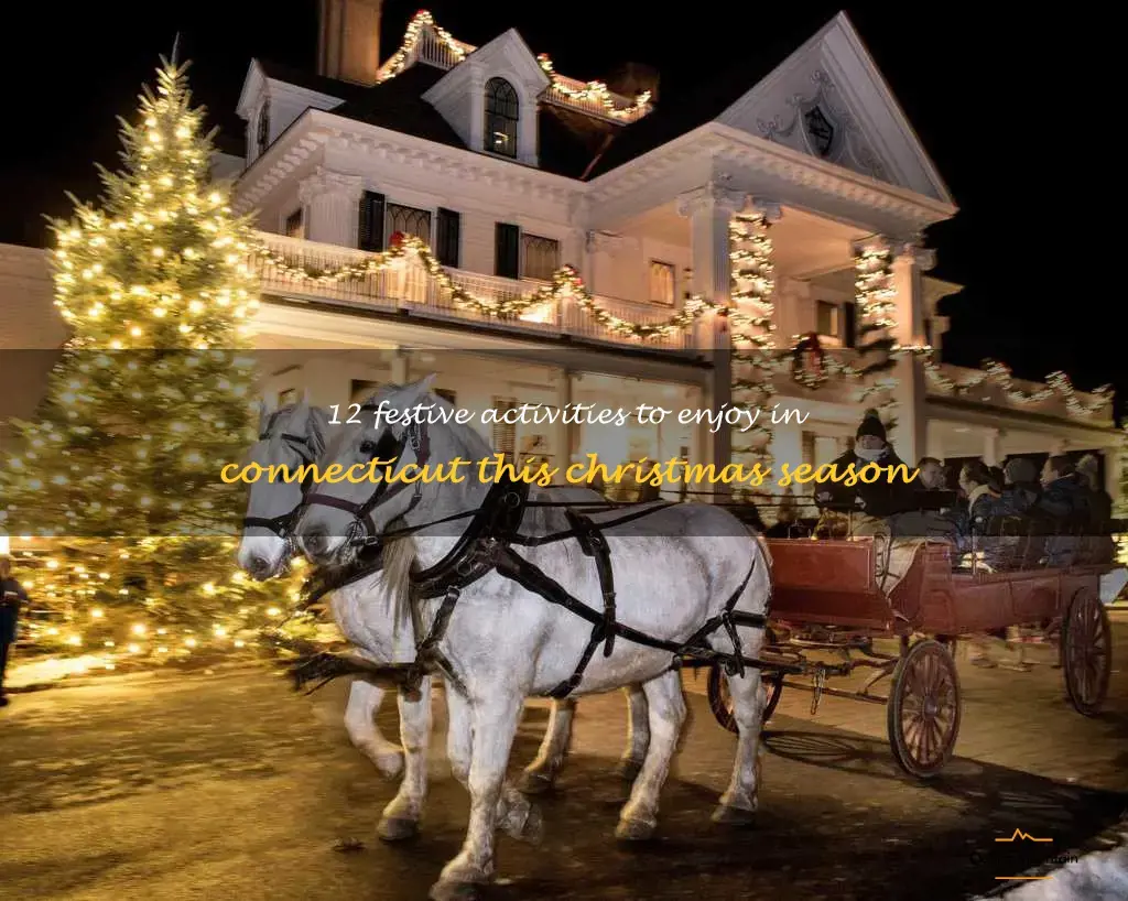 fun christmas things to do in Connecticut