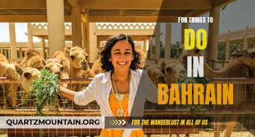 Experience the Thrill: Fun Things to Do in Bahrain