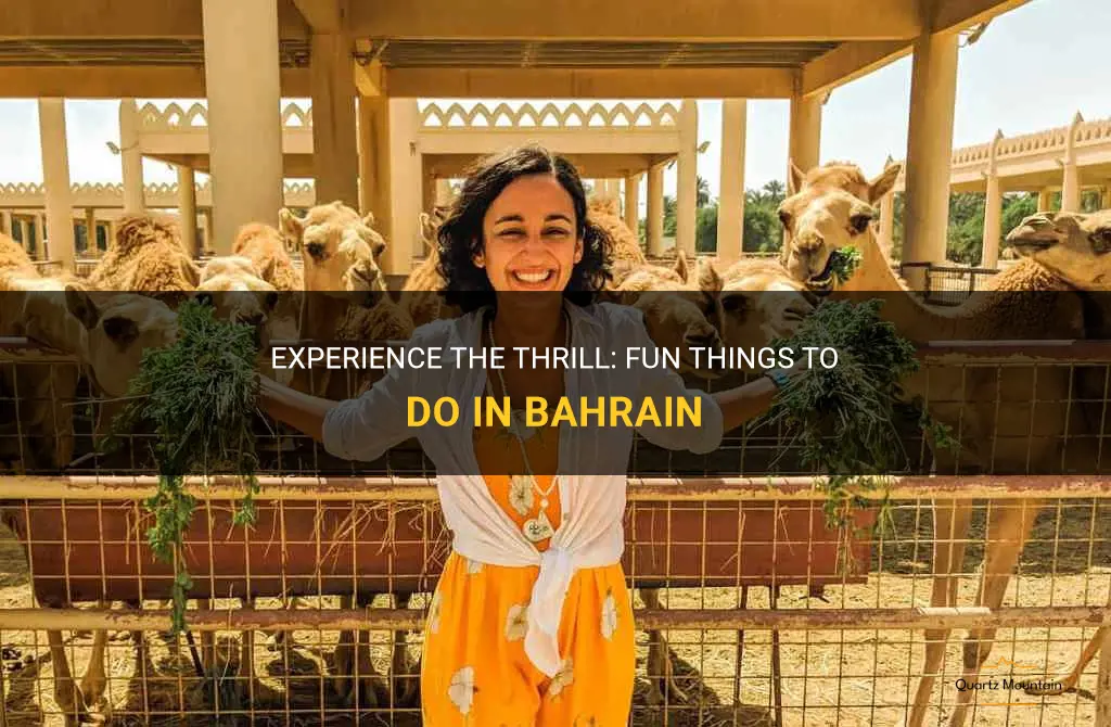 fun things to do in bahrain
