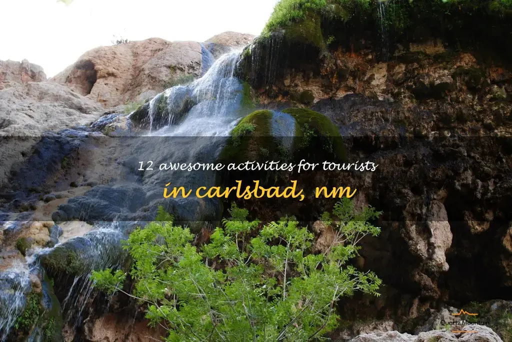 fun things to do in carlsbad nm