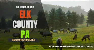 10 Fun Things to Do in Elk County, PA
