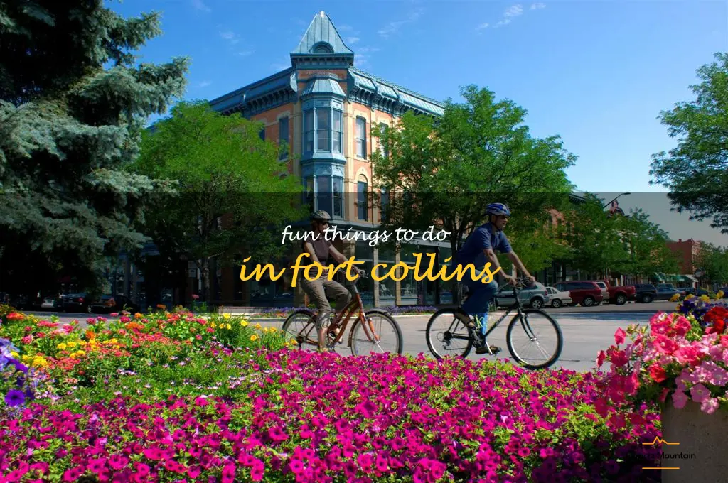 fun things to do in fort collins