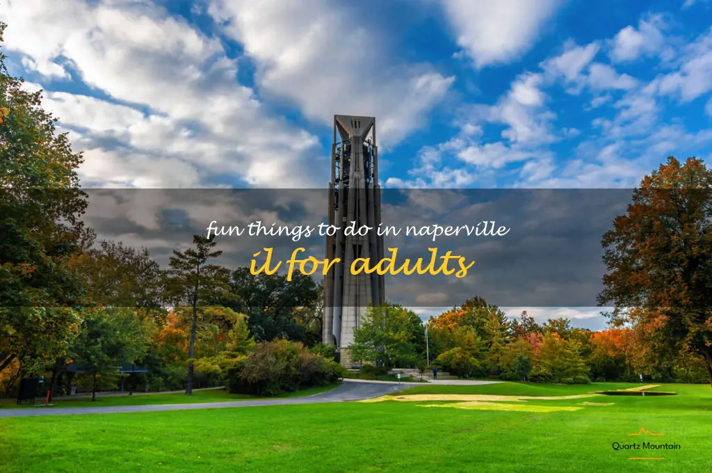 fun things to do in naperville il for adults