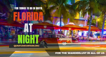 10 Exciting Activities to Explore in South Florida at Night