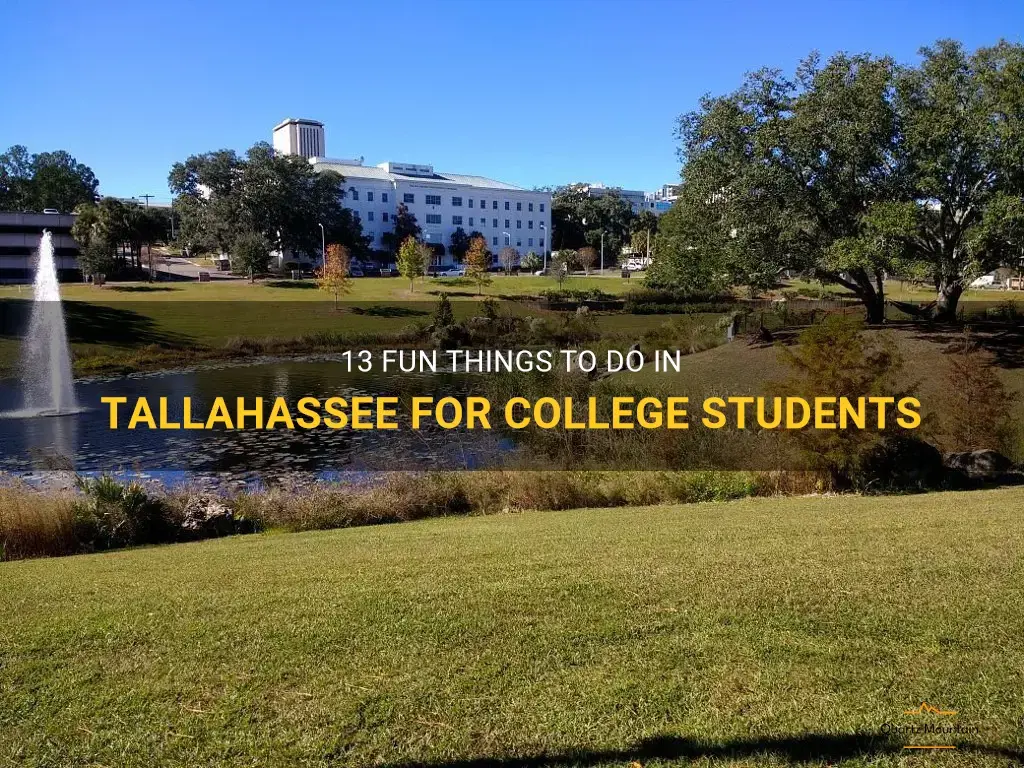 fun things to do in tallahassee for college students