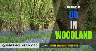 14 Fun Things to Do in Woodland That You Can't Miss!