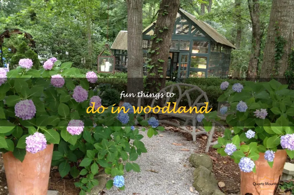 fun things to do in woodland