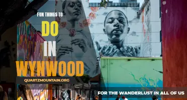14 Awesome Activities to Experience in Wynwood!