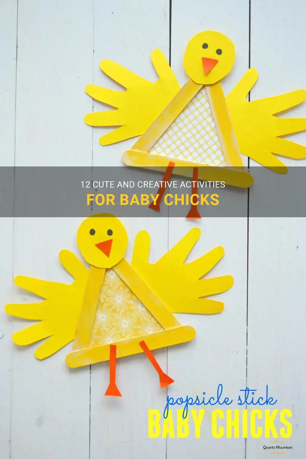 fun things to do with baby chicks