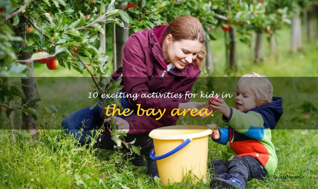 fun things to do with kids bay area