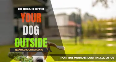 12 Ways to Enjoy the Outdoors with Your Furry Friend