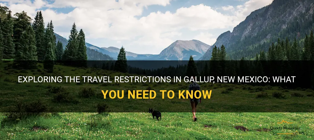 gallup new mexico travel restrictions