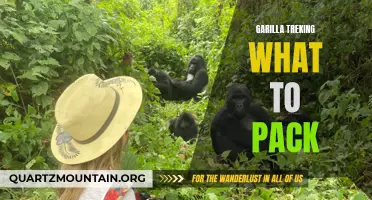 Essential Packing Tips for Gorilla Trekking Adventures