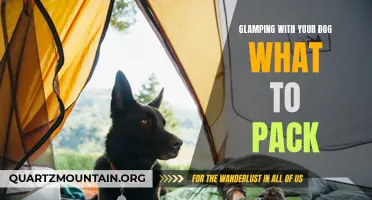 Essential Items for Glamping with Your Dog: What to Pack for a Luxurious Outdoor Retreat