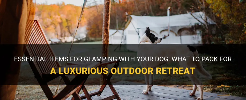 glamping with your dog what to pack