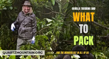 Essential Items to Pack for Gorilla Trekking in the Wild