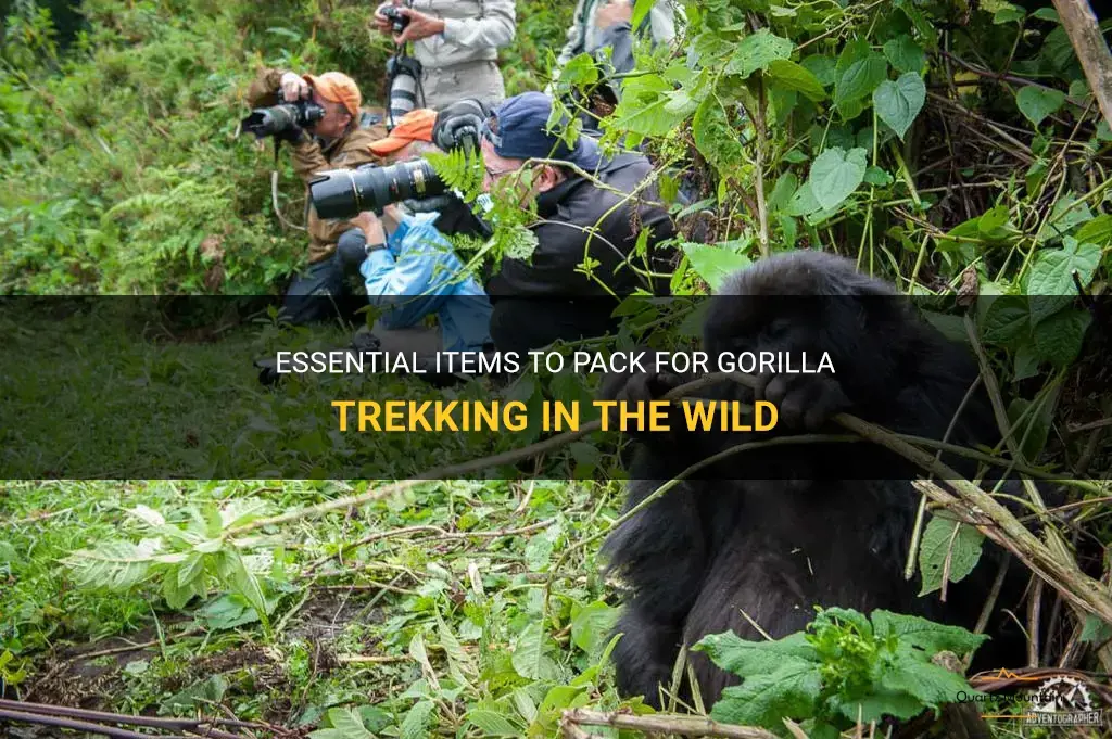 gorilla trekking and what to pack
