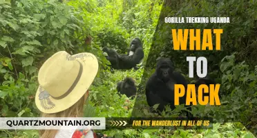 Essential Packing Tips for an Unforgettable Gorilla Trekking Experience in Uganda