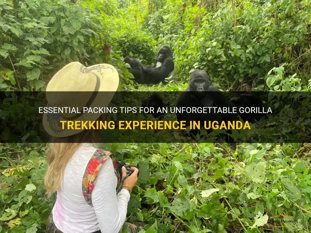 gorilla trekking uganda what to pack