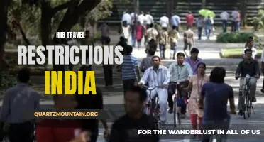 Exploring the Impact of H1B Travel Restrictions on Indian Professionals
