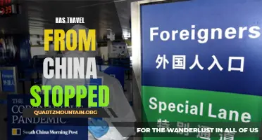 Travel Restrictions: Has Travel from China Finally Come to a Halt?