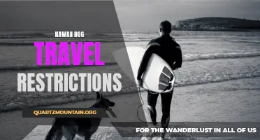 Exploring Hawaii with Fido: Navigating Dog Travel Restrictions in the Aloha State