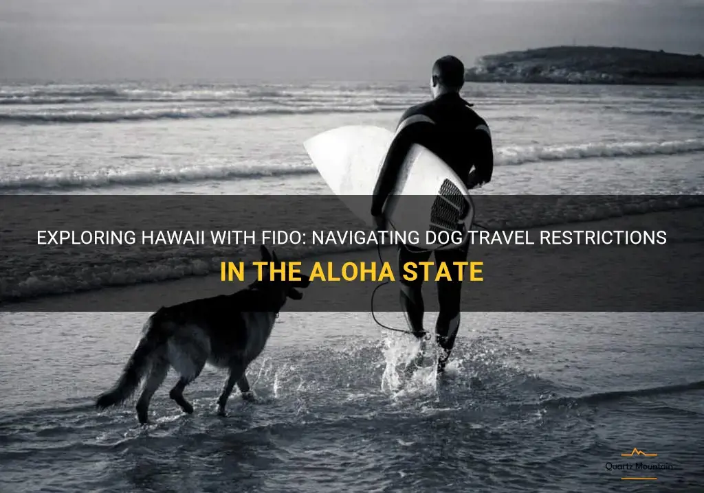hawaii dog travel restrictions