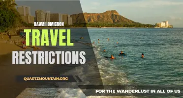 Hawaii's Omicron Travel Restrictions: What You Need to Know