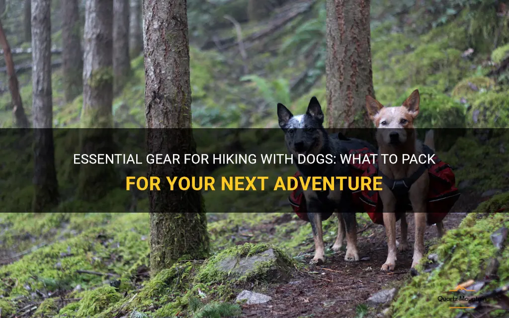 hiking with dogs what to pack